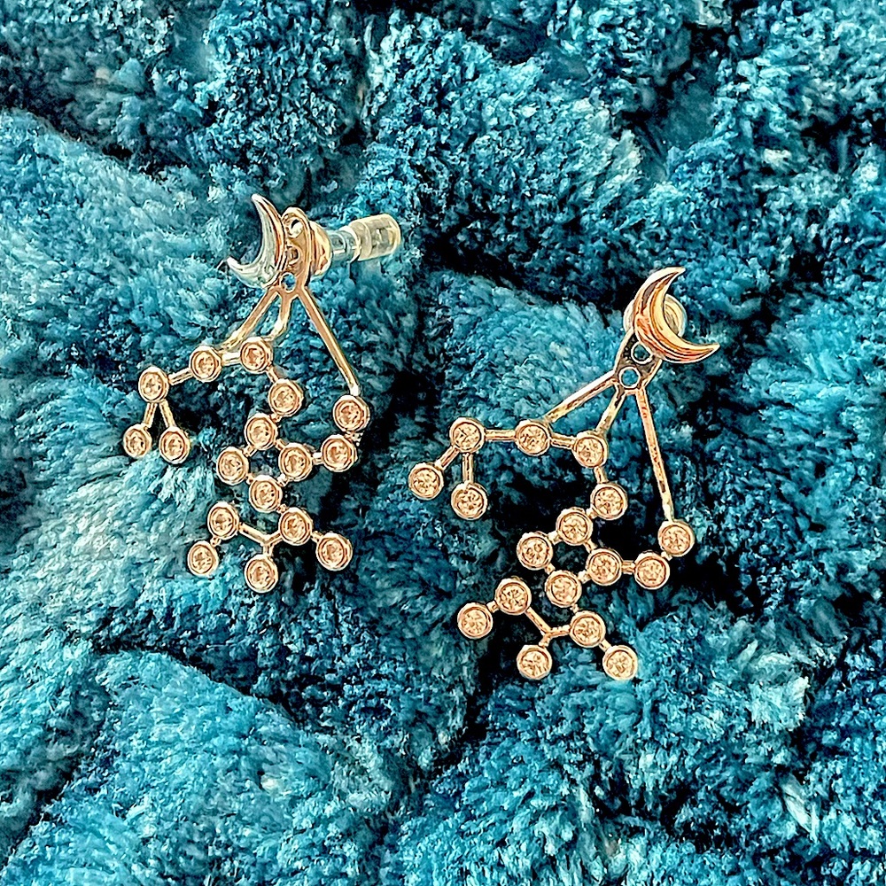 Sterling silver earrings
